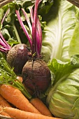 Fresh carrots, beetroot and green cabbage (detail)