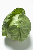 A green cabbage