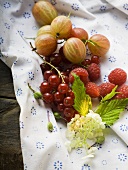 Still life with berries, leaves and elderflower
