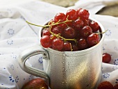 Redcurrants in metal cup