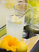 Glass of lemonade, lemon and flower on tray