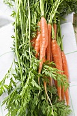 Fresh carrots on tea towel (detail)