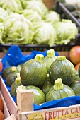 Runde Zucchini in Steige auf dem Markt