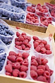 Raspberries and blueberries in punnets at a market