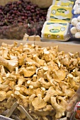 Fresh chanterelles in a crate at a market