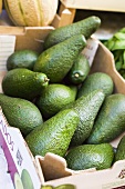 Avocados in a crate at a market