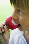 Child biting into a radish