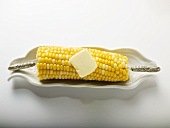Corn on the cob with knob of butter in white dish