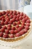 Raspberry tart with vanilla cream