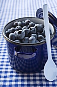 Fresh blueberries in blue pan