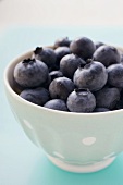 Fresh blueberries in light blue bowl