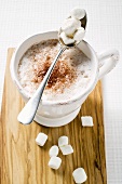 Cup of cocoa with marshmallows