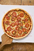 Pizza mit Tomatenscheiben, Käse und Oregano auf Pizzakarton