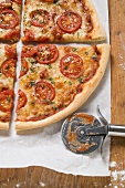 Cheese and tomato pizza with oregano (quartered)