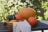 Assorted squashes and pumpkins on table in the open air