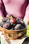 Woman holding bowl of fresh plums