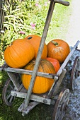 Orange pumpkins in a wooden cart (out of doors)
