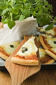Mehrere Stücke Drei-Käse-Pizza (amerikanische Art), Oregano