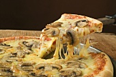 American-style mushroom pizza with piece on server