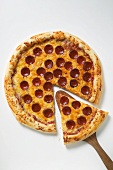 Pizza mit Peperoniwurst (amerikanische Art), angeschnitten