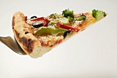 Slice of American-style vegetable pizza on server