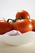 Frische Tomaten in weisser Schale
