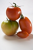 Vier verschiedene Tomaten