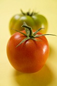 Two different tomatoes on yellow background