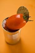 Fresh tomato on opened food tin