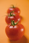 Three tomatoes on orange background