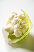 A cauliflower floret