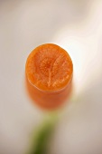 A slice of carrot
