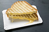 Toasted cheese sandwiches on paper plate