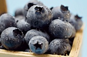 Blueberries with drops of water in woodchip basket (close-up)