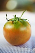 Tomate auf weißem Tuch