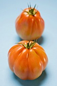 Two tomatoes on pale blue background