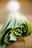 Spring onion on wooden background