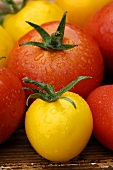 Various types of tomatoes with drops of water