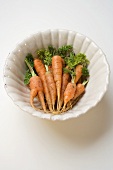 Young carrots in white dish