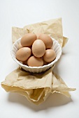 Brown eggs in white bowl on paper