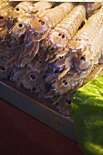 Mantis shrimps at a market