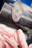 Verschiedene frische Fische am Markt