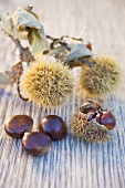 Chestnuts on wooden table