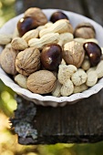 Walnuts, chestnuts and peanuts in white dish