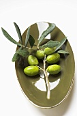 Olive sprig with green olives in bowl
