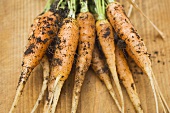Young carrots with soil on chopping board (close-up)