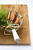 Young carrots in strainer on chopping board