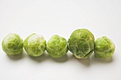 Brussels sprouts in a row