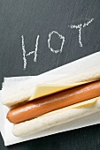 Hot Dog mit Käse auf Papierserviette, Schriftzug HOT