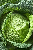 Savoy cabbage from above (close-up)